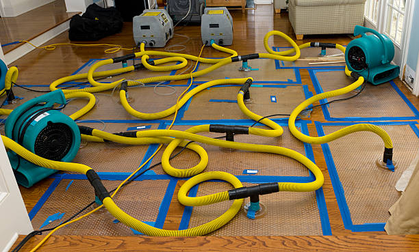 Professional Crawl Space Water Removal technician working in Puyallup, WA